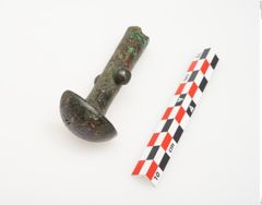 Foto von Bronzeortband (NHMW-PRAE-025457)